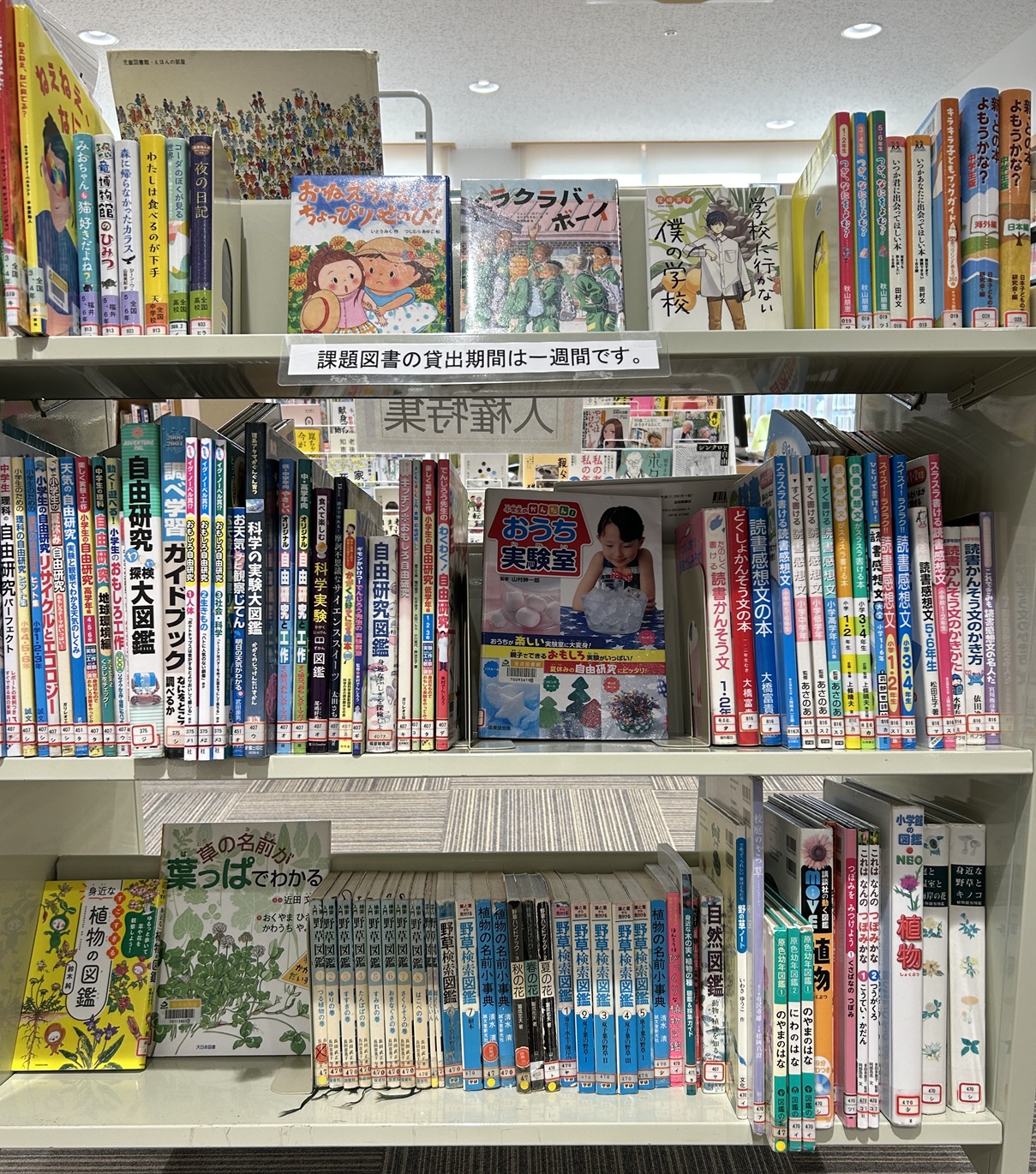 ただいま特集中（金津図書館）